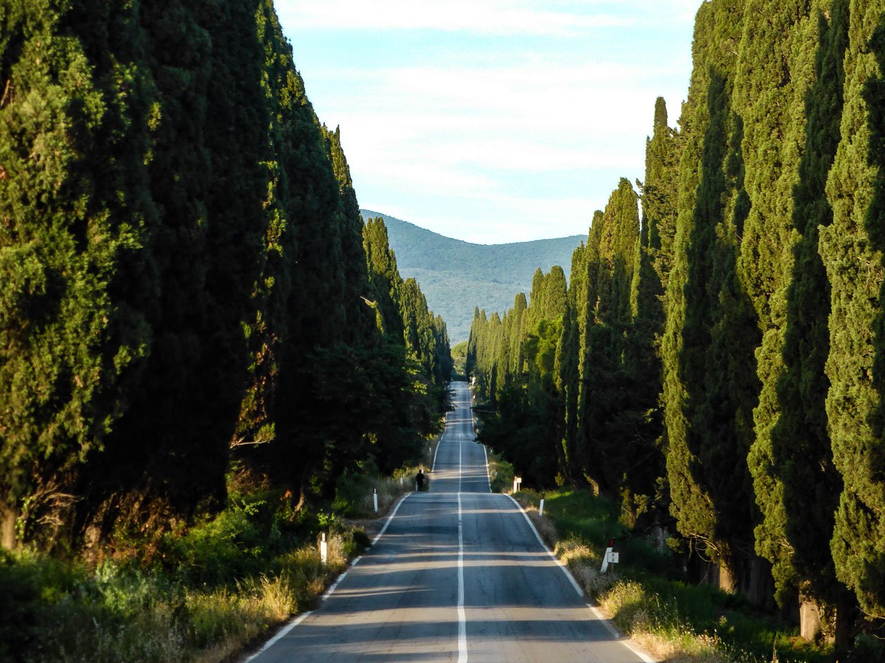 bolgheri
